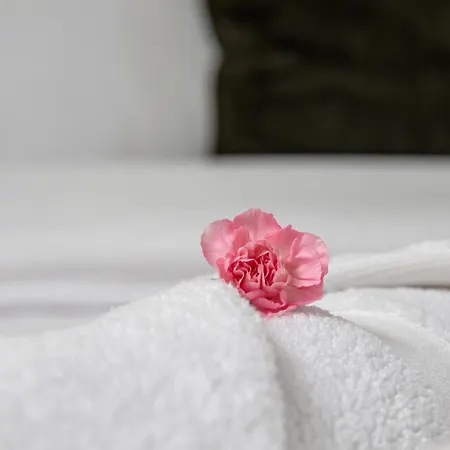 Spacious Luxurious Serviced 6 Barrow-in-Furness