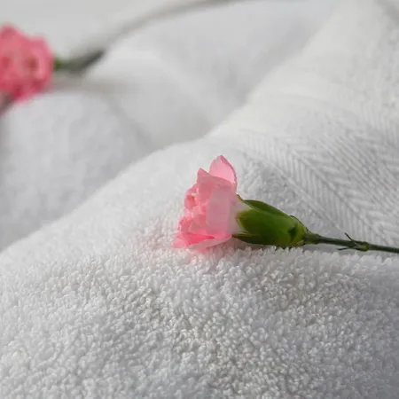 Feriehus Spacious Luxurious Serviced 6